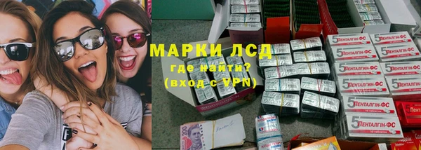ГАЛЛЮЦИНОГЕННЫЕ ГРИБЫ Дмитриев