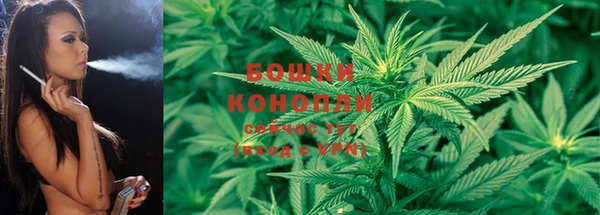 COCAINE Майский