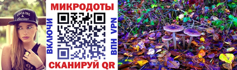 Псилоцибиновые грибы Cubensis  Духовщина 
